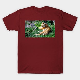 Wild life design T-Shirt